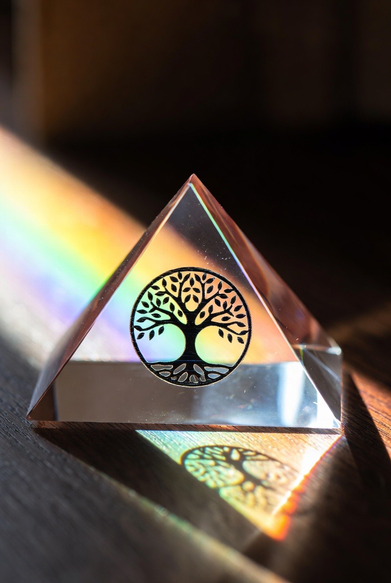 Awakening & Alignment Course